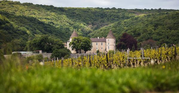 Chateau guillot broux 1