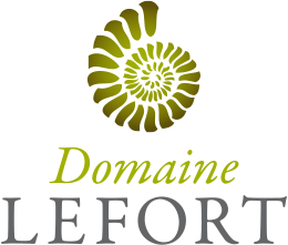 Domaine lefort y et rully logo300